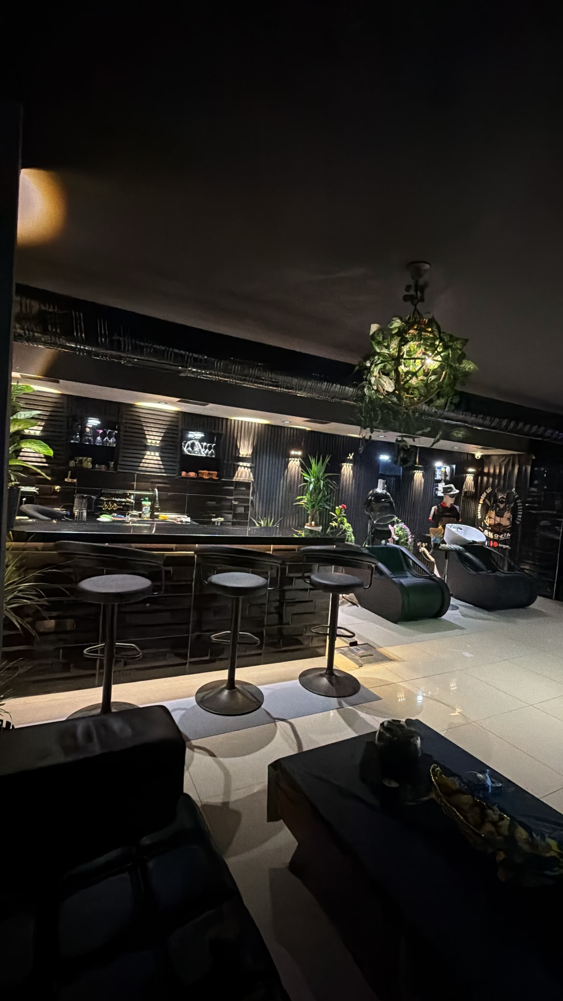 Salon Ziya galeri 5